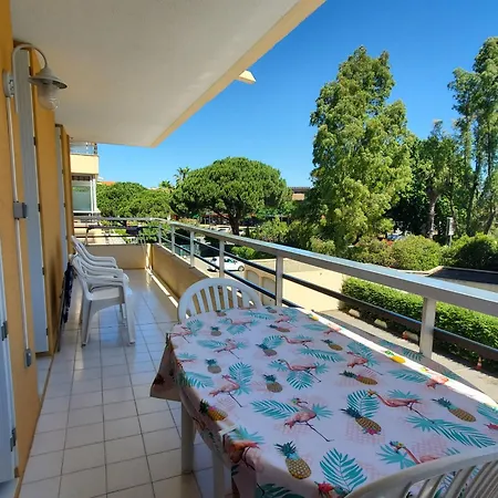 Miougrano 2 Pieces Climatise 45m2 Piscine Parking Apartamento